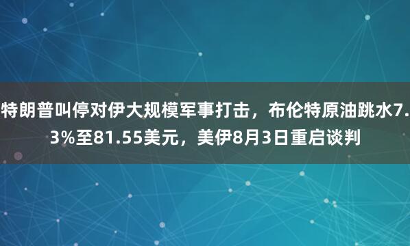 特朗普叫停对伊大规模军事打击，布伦特原油跳水7.3%至81.55美元，美伊8月3日重启谈判