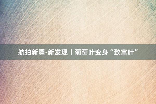 航拍新疆·新发现丨葡萄叶变身“致富叶”