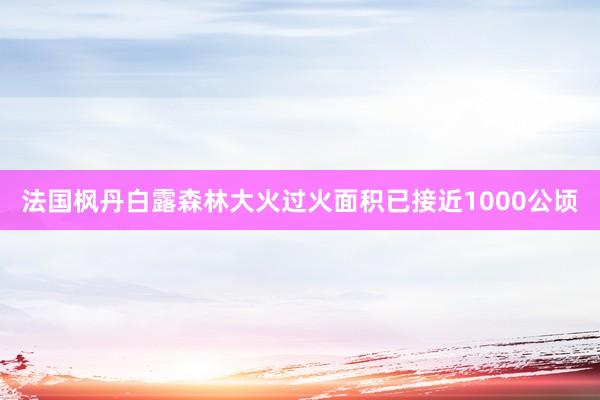 法国枫丹白露森林大火过火面积已接近1000公顷