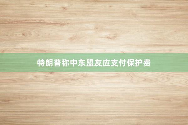 特朗普称中东盟友应支付保护费