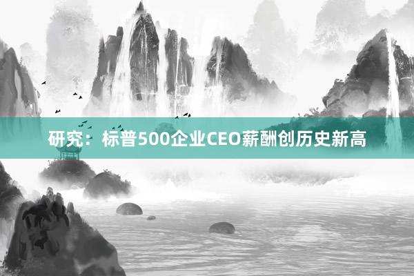 研究：标普500企业CEO薪酬创历史新高