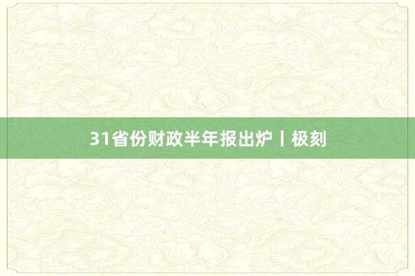 31省份财政半年报出炉丨极刻
