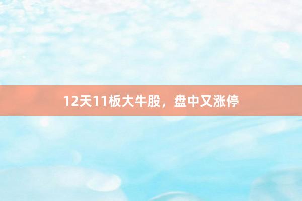 12天11板大牛股，盘中又涨停