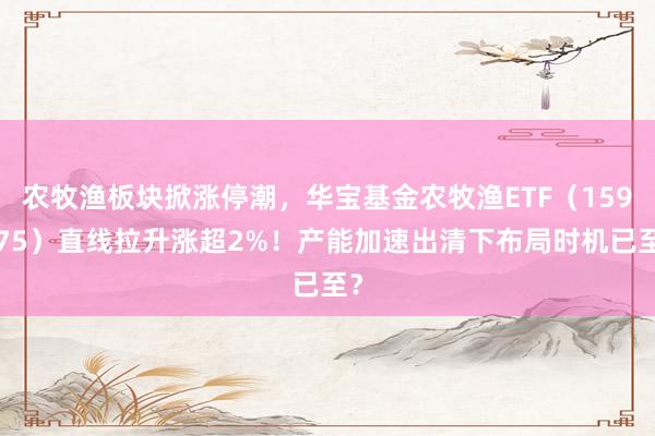 农牧渔板块掀涨停潮，华宝基金农牧渔ETF（159275）直线拉升涨超2%！产能加速出清下布局时机已至？