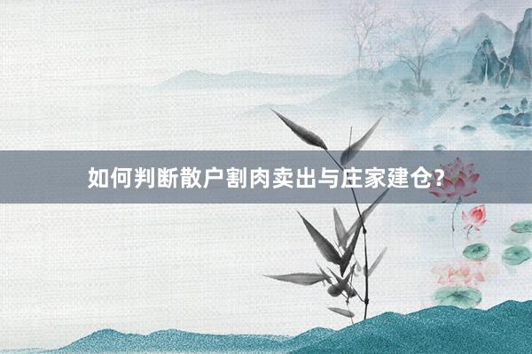 如何判断散户割肉卖出与庄家建仓？