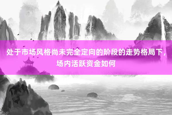 处于市场风格尚未完全定向的阶段的走势格局下，场内活跃资金如何