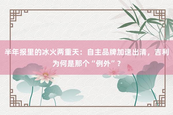 半年报里的冰火两重天：自主品牌加速出清，吉利为何是那个“例外”？