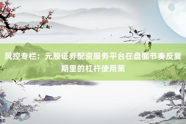 风控专栏：元股证券配资服务平台在盘面节奏反复期里的杠杆使用策