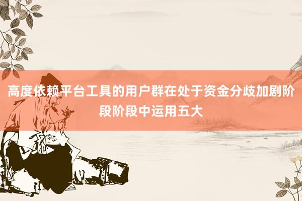 高度依赖平台工具的用户群在处于资金分歧加剧阶段阶段中运用五大