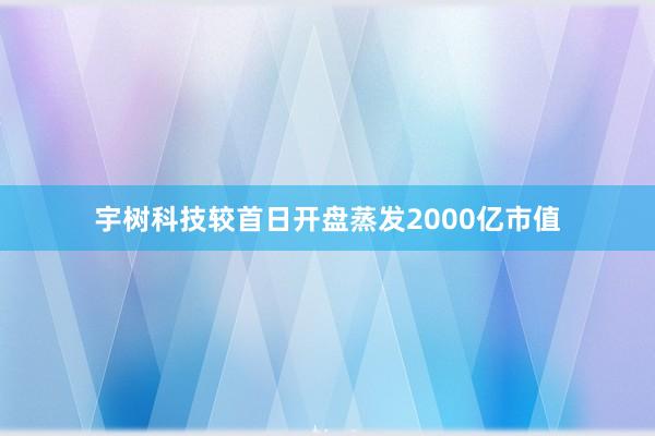宇树科技较首日开盘蒸发2000亿市值