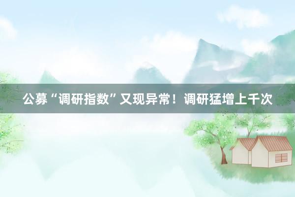 公募“调研指数”又现异常！调研猛增上千次