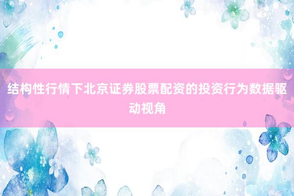 结构性行情下北京证券股票配资的投资行为数据驱动视角