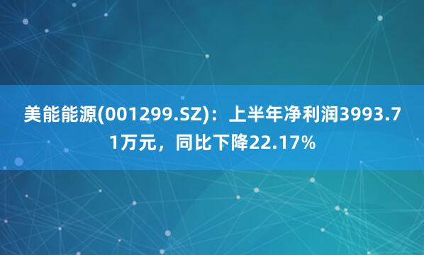 美能能源(001299.SZ)：上半年净利润3993.71万元，同比下降22.17%
