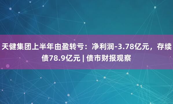 天健集团上半年由盈转亏：净利润-3.78亿元，存续债78.9亿元 | 债市财报观察