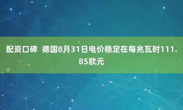 配资口碑  德国8月31日电价稳定在每兆瓦时111.85欧元