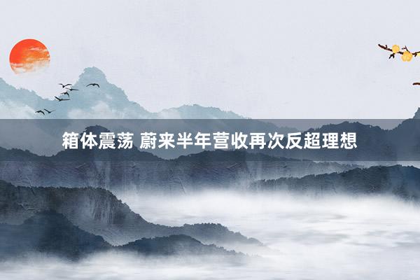 箱体震荡 蔚来半年营收再次反超理想