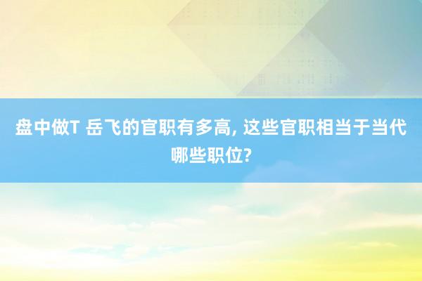 盘中做T 岳飞的官职有多高, 这些官职相当于当代哪些职位?