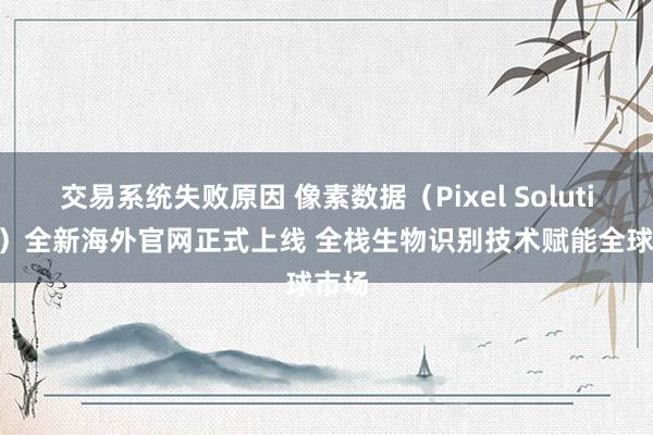 交易系统失败原因 像素数据（Pixel Solutions）全新海外官网正式上线 全栈生物识别技术赋能全球市场