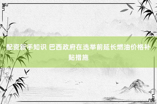 配资新手知识 巴西政府在选举前延长燃油价格补贴措施