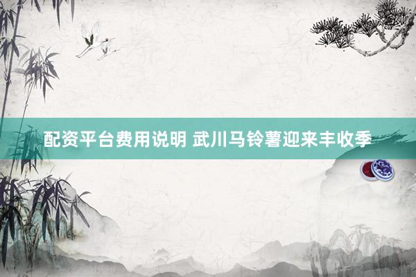 配资平台费用说明 武川马铃薯迎来丰收季