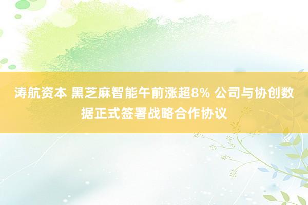 涛航资本 黑芝麻智能午前涨超8% 公司与协创数据正式签署战略合作协议
